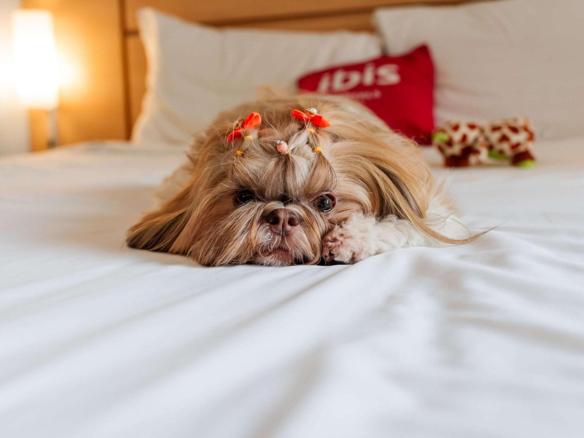 Ibis Жоинвили Экстерьер фото